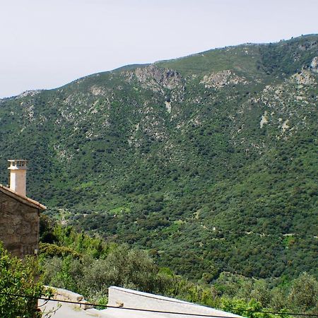 Studio Le Petit Nid D'Amour Meuble Tourisme 3 Etoiles Poggio Santa-Lucia-di-Tallano 外观 照片