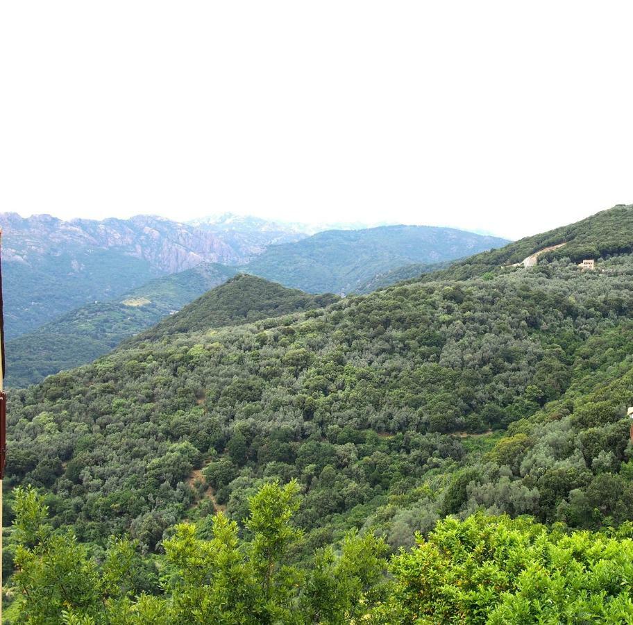 Studio Le Petit Nid D'Amour Meuble Tourisme 3 Etoiles Poggio Santa-Lucia-di-Tallano 外观 照片
