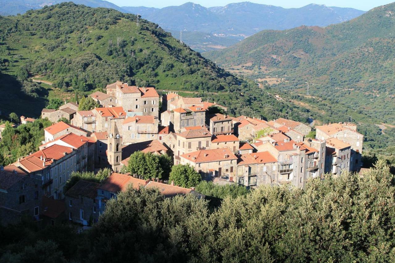 Studio Le Petit Nid D'Amour Meuble Tourisme 3 Etoiles Poggio Santa-Lucia-di-Tallano 外观 照片